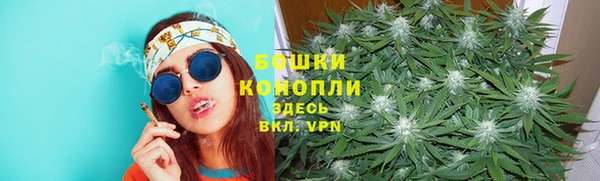мескалин Касимов