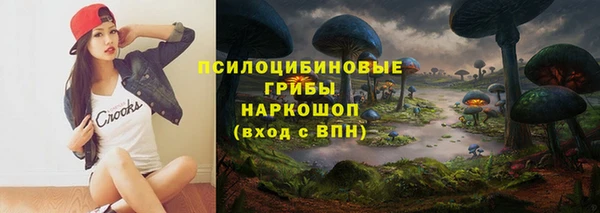 хмурый Карталы