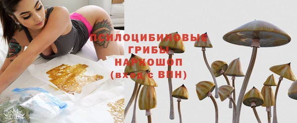 хмурый Карталы