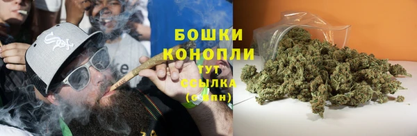 тгк Карпинск