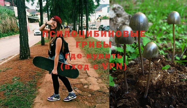 тгк Карпинск