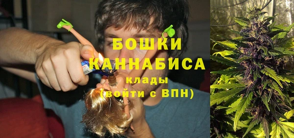 тгк Карпинск