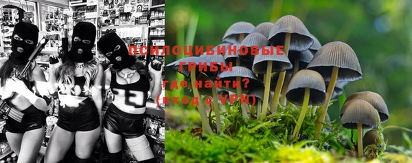 хмурый Карталы