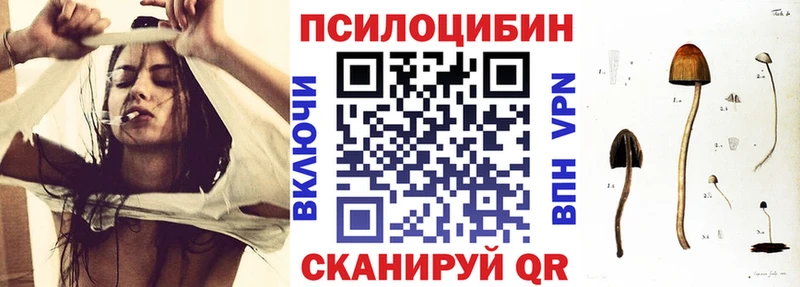 цена   Ессентукская  Псилоцибиновые грибы MAGIC MUSHROOMS 