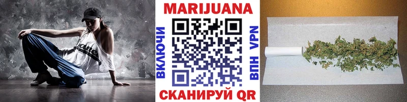 Конопля план  Ессентукская 